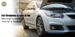 spark plug problems causing morning car struggles, Grenada